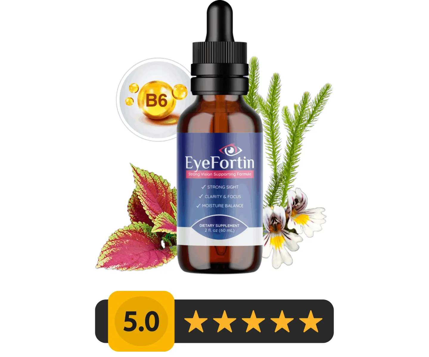 eyefortin